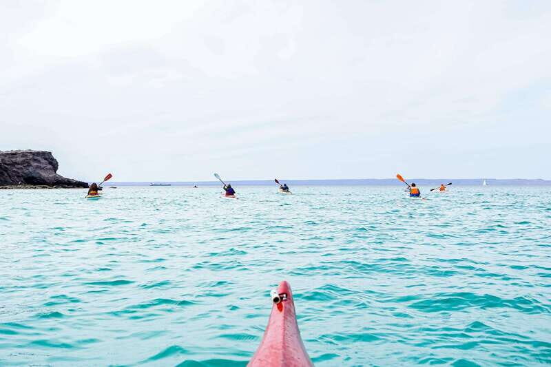 Sea Kayak Tour - Marine Safari - A Deep Dive Into the Baja Kayak Marine Safari Experience