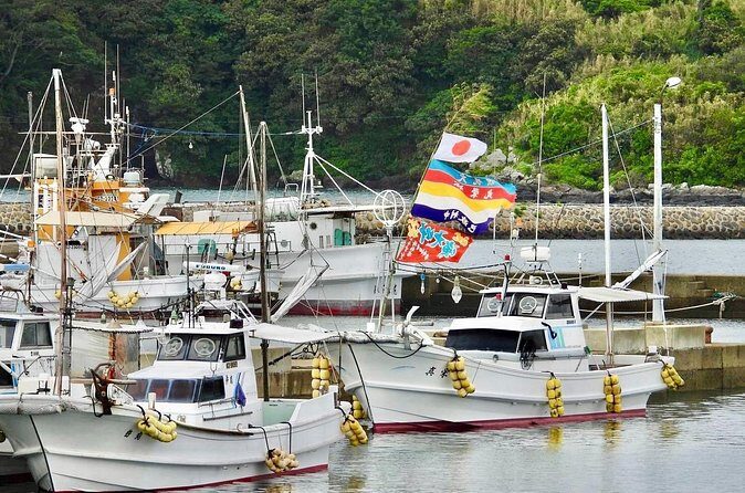 Sea Kayaking and Beach Clean up in Ojika Island Nagasaki - Additional Information and Practical Tips