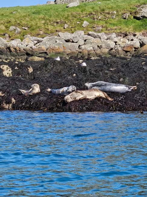 Sea kayaking Killiney beach to Dalkey Island with Pictures - An In-Depth Look at the Experience