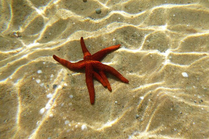 sea-kayaking-mykonos-natural-beauty-beaches
