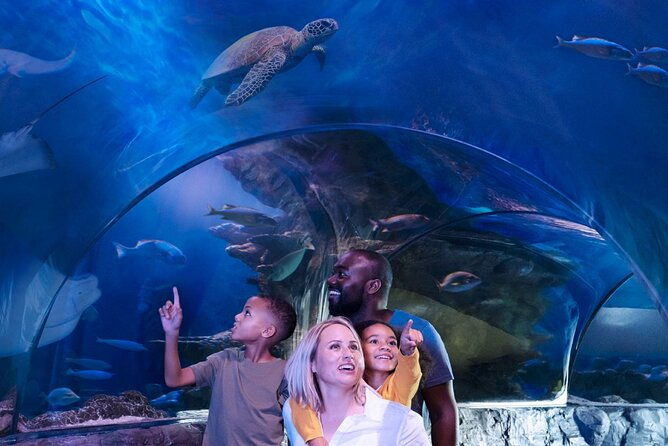 sea-life-aquarium-grapevine-admission-ticket-2