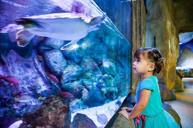 sea-life-aquarium-grapevine-admission-ticket