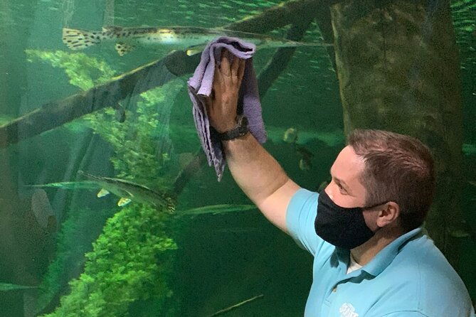 sea-life-aquarium-minnesota-admission-ticket-at-mall-of-america