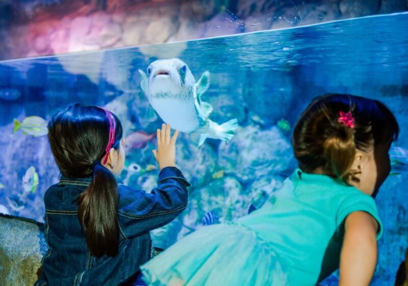 sea-life-aquarium-san-antonio