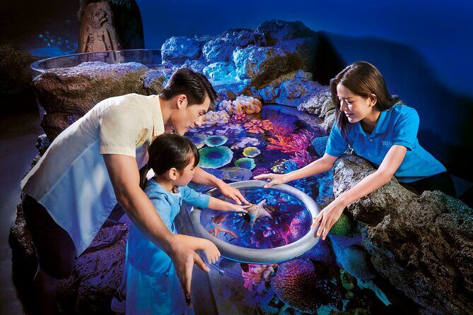 SEA LIFE Bangkok Ocean World and Madam Taussauds Entry Ticket - Key Points