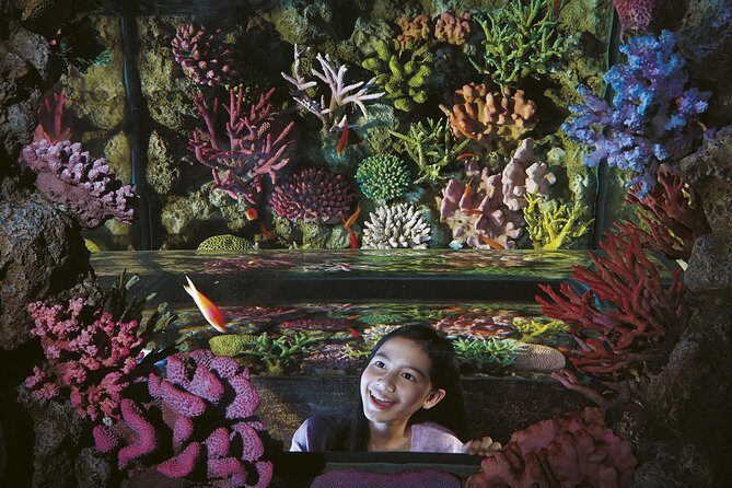 SEA LIFE Bangkok Ocean World and Madam Taussauds Entry Ticket - An In-Depth Look at the Tour