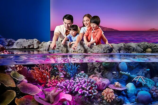 Sea life Bangkok Ocean World Ticket - A Closer Look at SEA LIFE Bangkok Ocean World