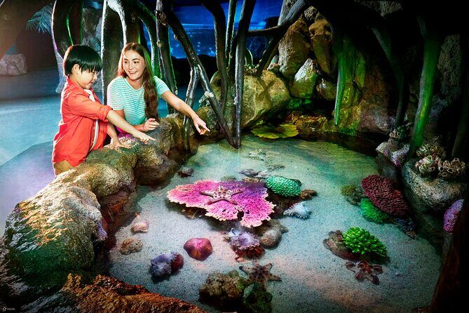 Sea life Bangkok Ocean World Ticket - The Sum Up