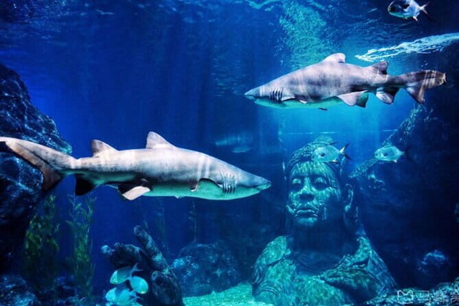 SEA LIFE Bangkok Ocean World Tickets - Key Points