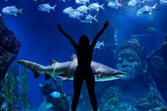 Sea Life Bangkok Ocean World Tickets - Final Thoughts