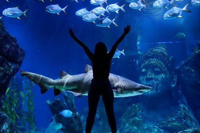 Sea Life Bangkok Ocean World Tickets - Bonus: Madame Tussauds and Additional Attractions