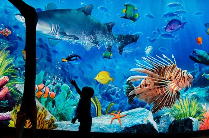 Sea Life Bangkok Ocean World Tickets - Practical Tips for Your Visit