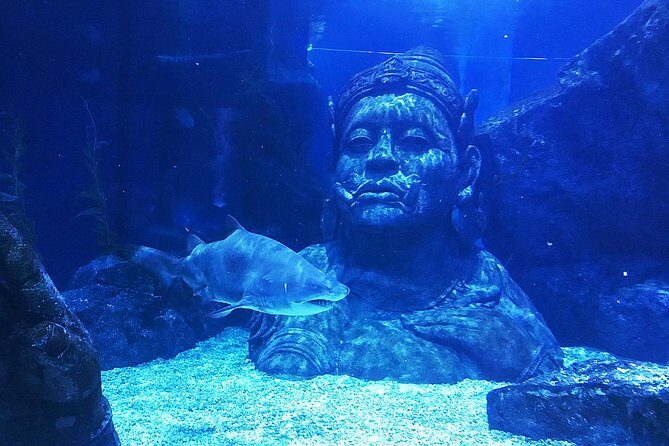 Sea Life Bangkok Ocean World Tickets - The Sum Up