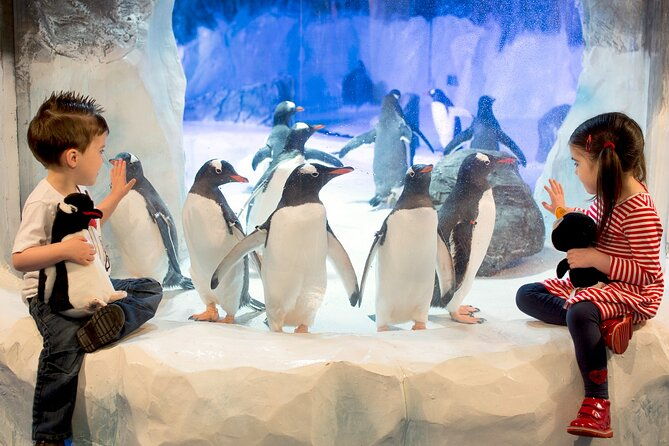 sea-life-birmingham-admission-ticket-3
