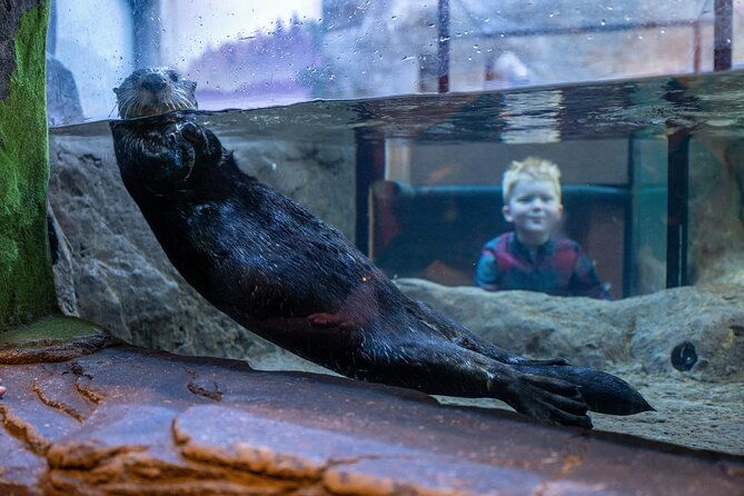 sea-life-birmingham-admission-ticket-4