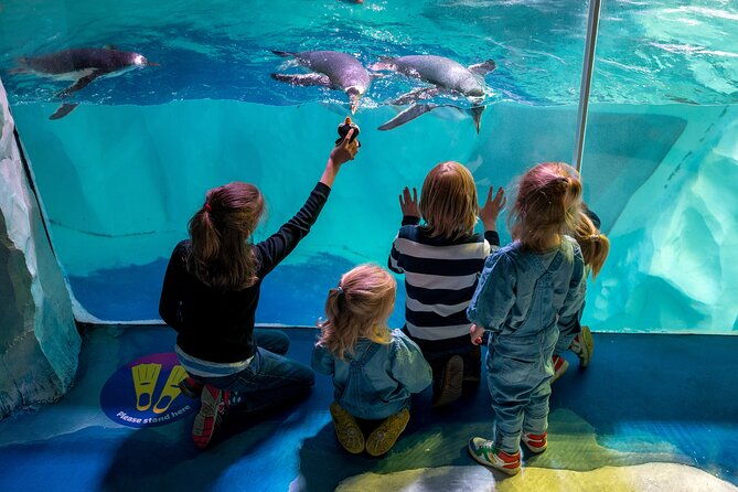 sea-life-birmingham-admission-ticket
