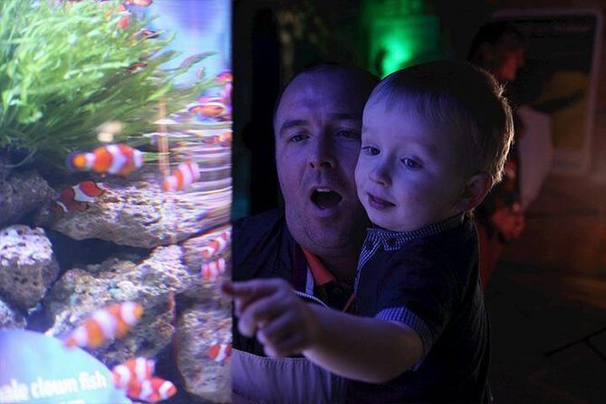 SEA LIFE Blackpool Admission Ticket - An In-Depth Look at SEA LIFE Blackpool