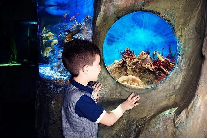 SEA LIFE Blackpool Admission Ticket - FAQs