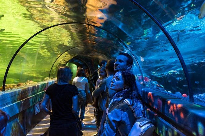 sea-life-brighton-admission-ticket