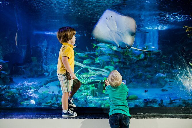 sea-life-charlotte-concord-aquarium-admission-ticket