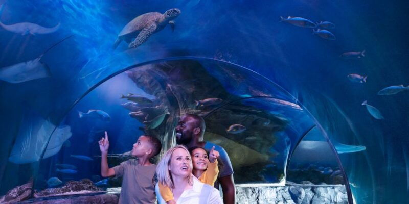 sea-life-charlotte-concord-aquarium-general-admission