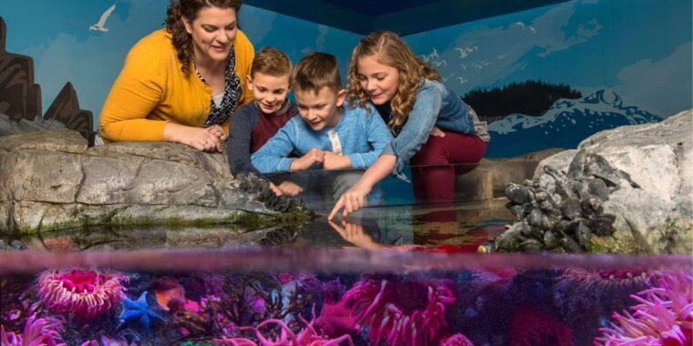 sea-life-charlotte-concord-aquarium-general-admission