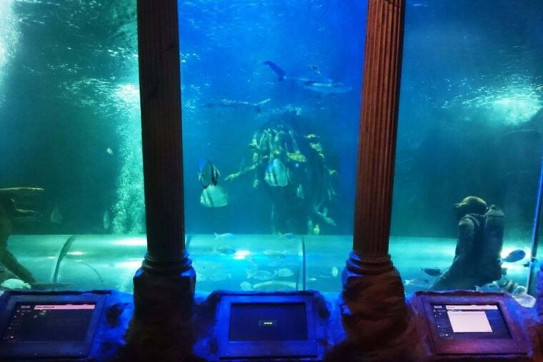 sea-life-great-yarmouth