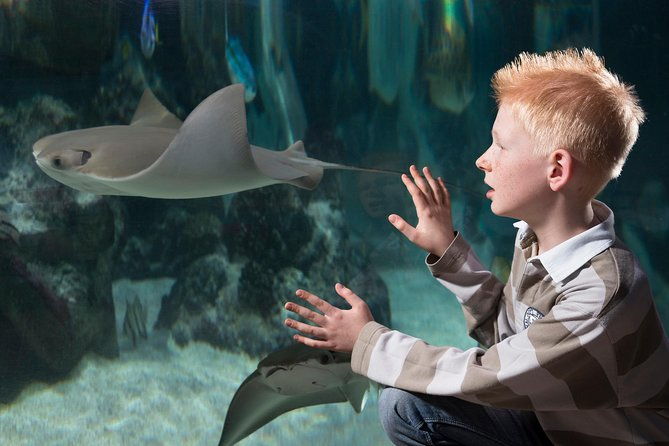 sea-life-hannover-ticket-incl-animal-crossing-event