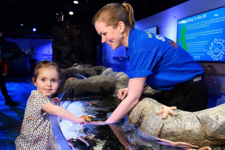 sea-life-london-dreamworks-shreks-adventure-combo-ticket