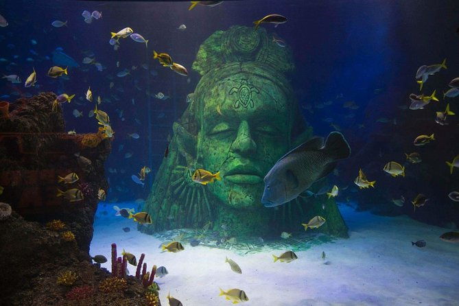 sea-life-manchester-admission-ticket