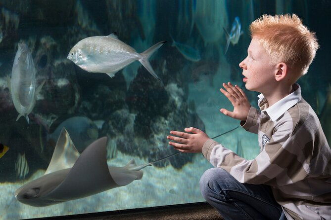sea-life-michigan-aquarium-admission-ticket