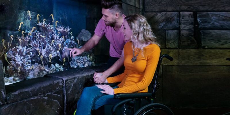 SEA LIFE Michigan Aquarium General Admission - Accessibility, Safety, and Practical Tips