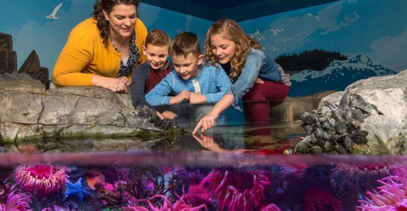 SEA LIFE Michigan Aquarium General Admission - FAQ