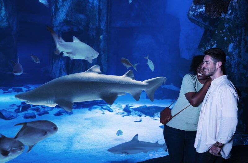 sea-life-michigan-aquarium-general-admission