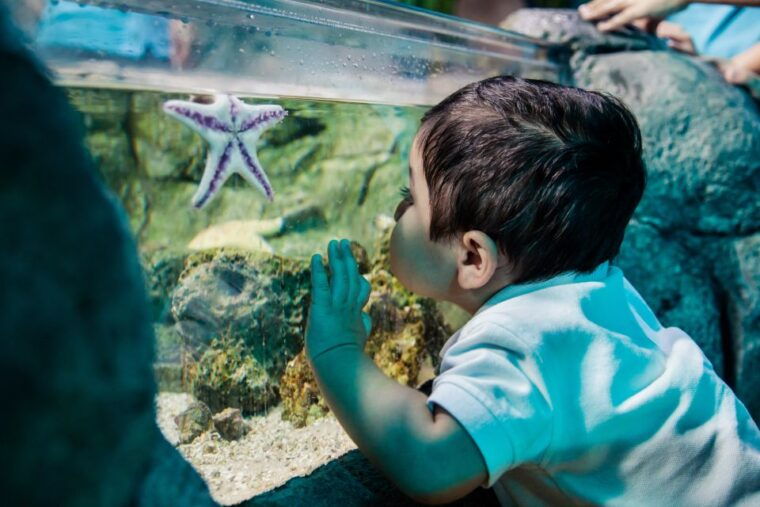 sea-life-michigan-aquarium-general-admission
