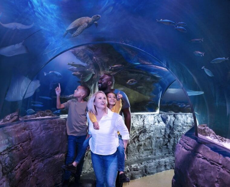 sea-life-michigan-aquarium-general-admission