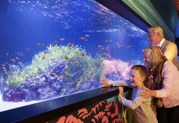 sea-life-michigan-aquarium-general-admission