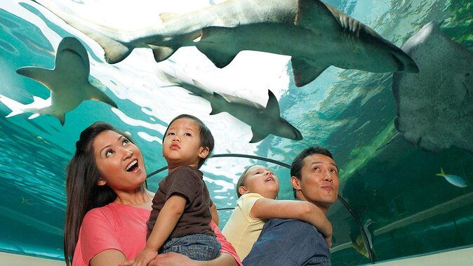 sea-life-orlando-aquarium