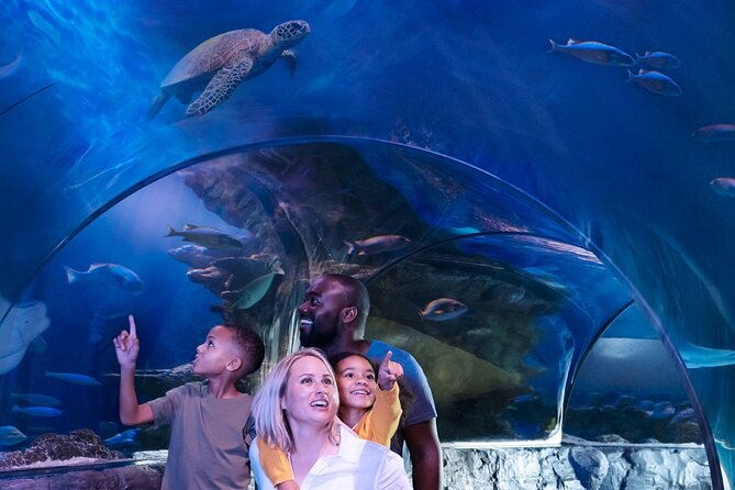 sea-life-orlando-aquarium
