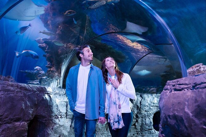 sea-life-orlando-aquarium