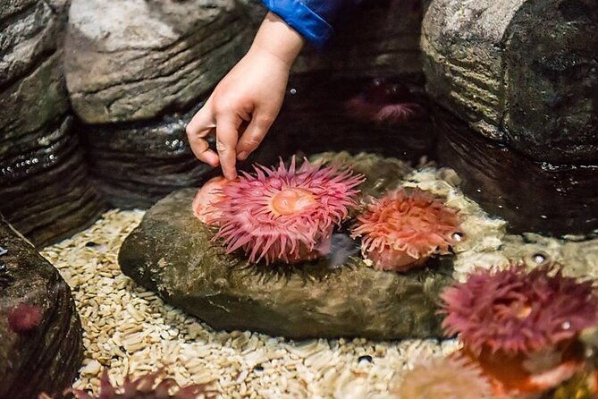 sea-life-orlando-aquarium
