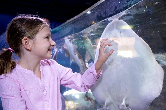 sea-life-san-antonio-admission-ticket