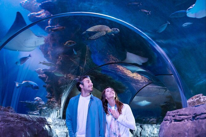 sea-life-san-antonio-admission-ticket