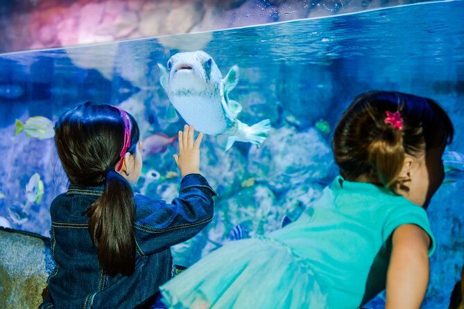 sea-life-san-antonio-admission-ticket