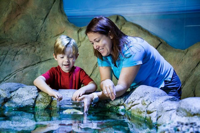 sea-life-san-antonio-admission-ticket