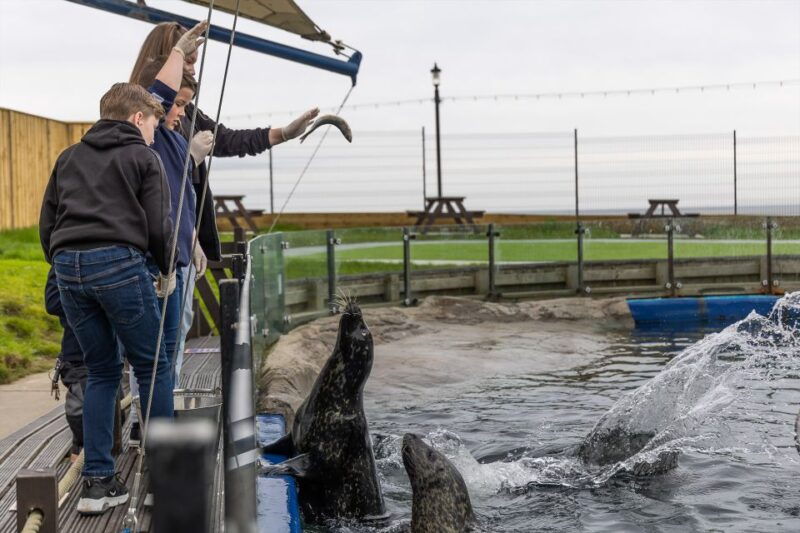 sea-life-scarborough