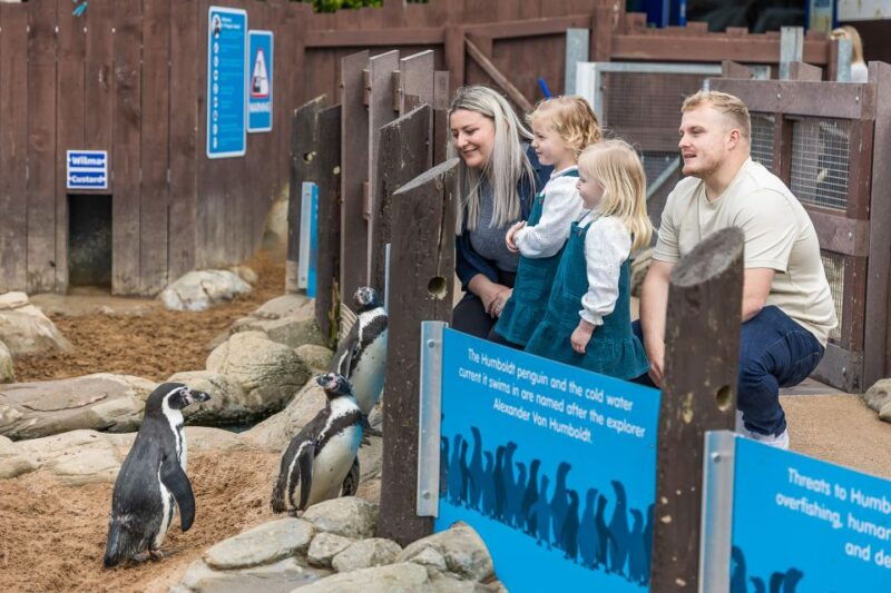 sea-life-scarborough