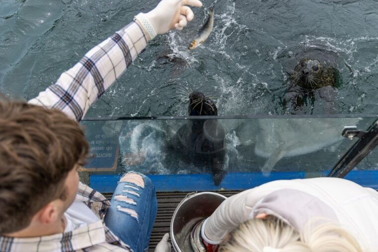 sea-life-scarborough