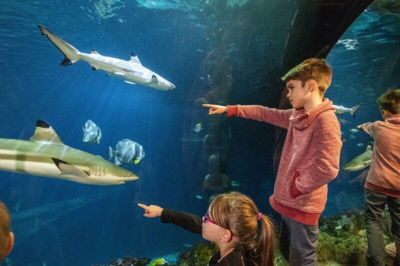 sea-life-speyer-ticket