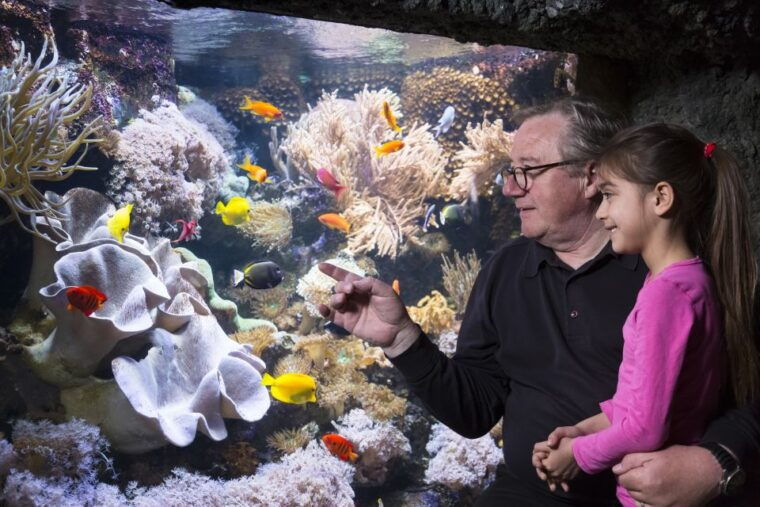 sea-life-speyer-ticket